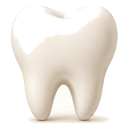 Dental Clinics business illustration
